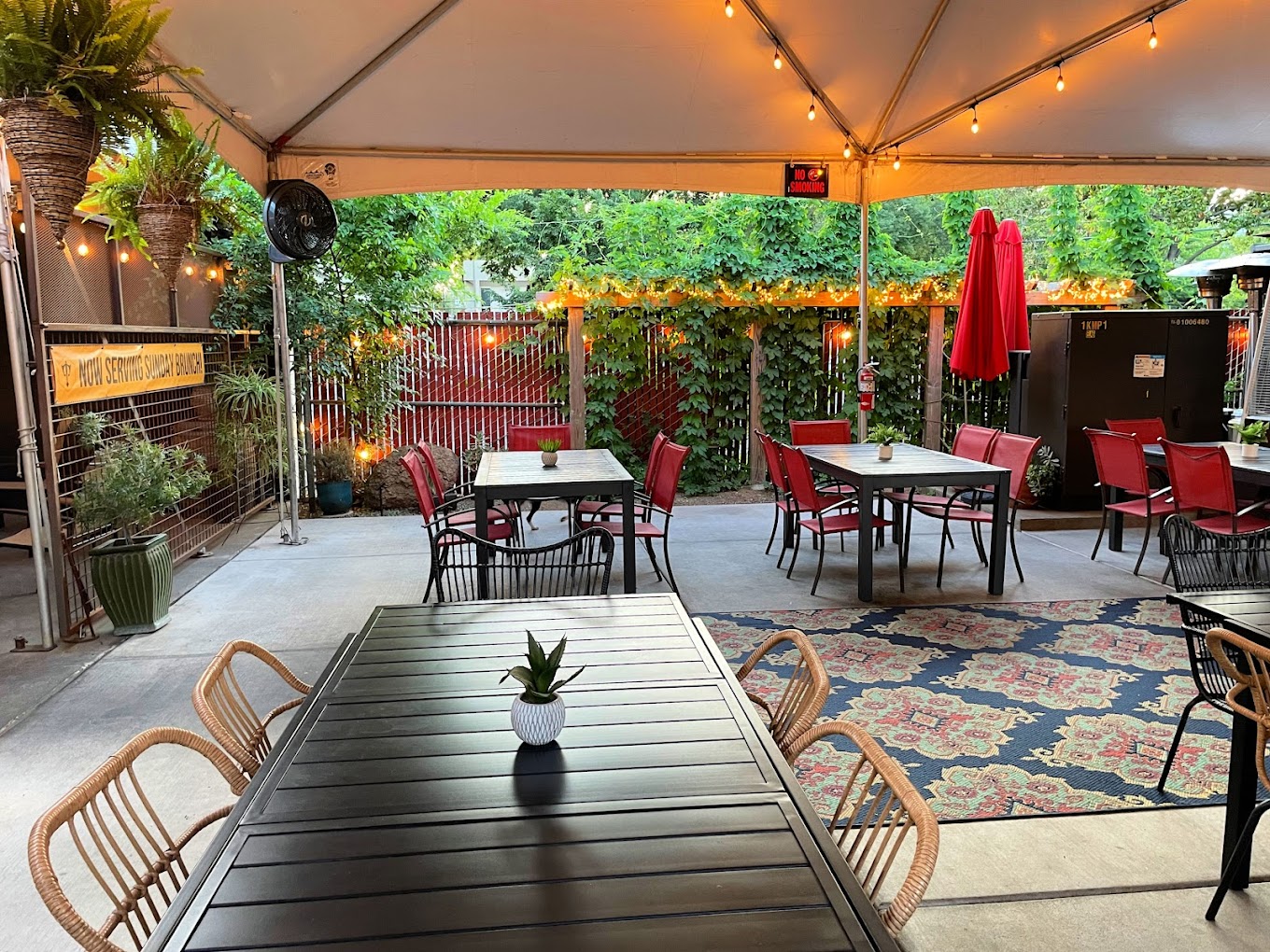 Bloom Workspaces – A thriving coworking space in Midtown Sacramento