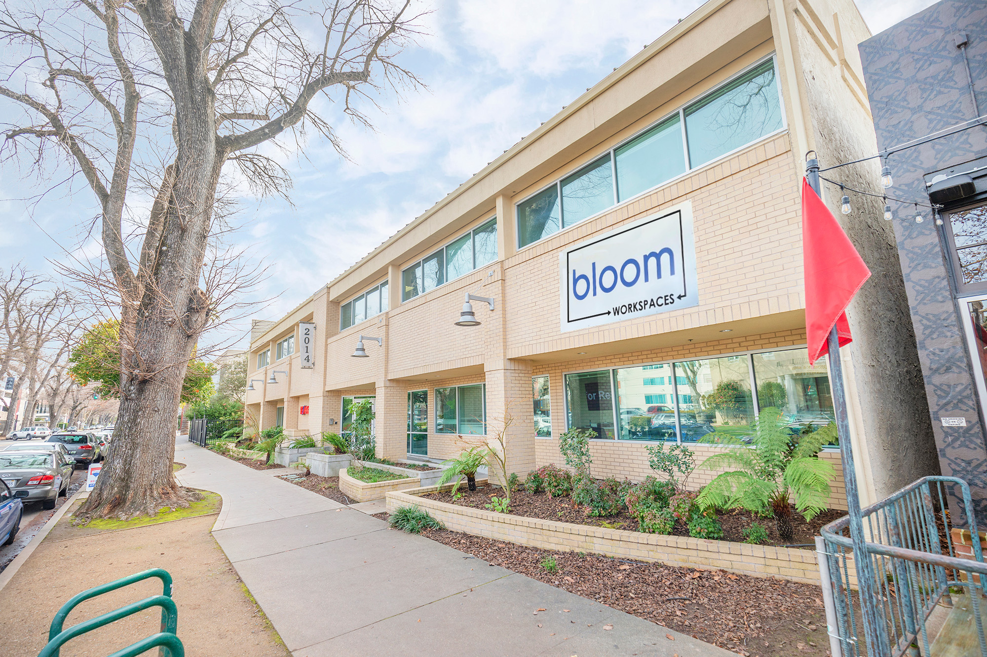 Bloom Workplaces About us 16