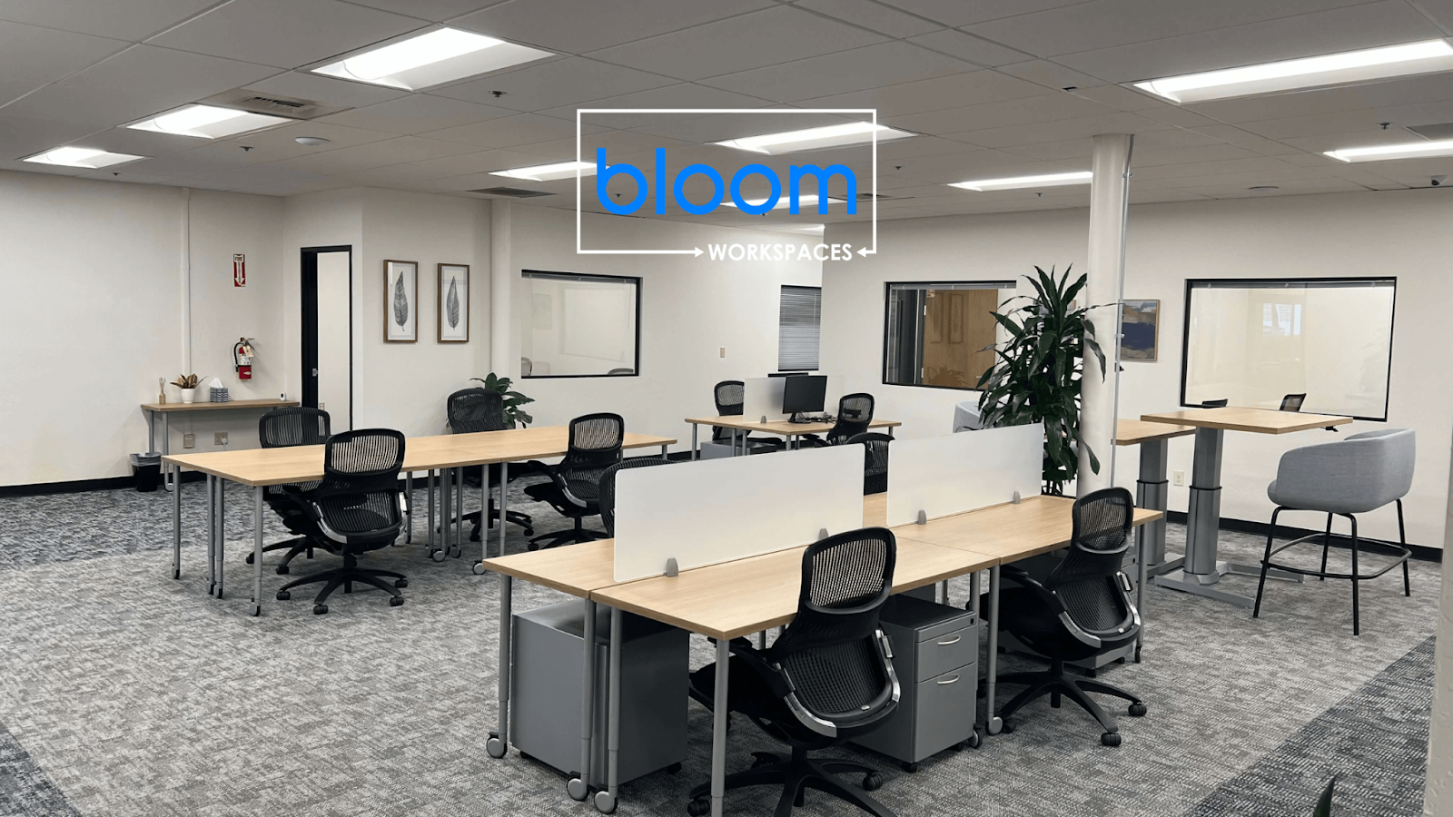 5 Reasons to Choose Coworking for Your Business | Bloom Workspaces Coworking Space Sacramento